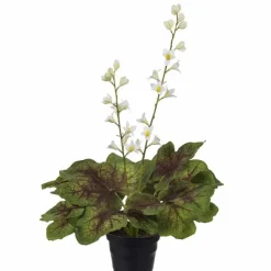 Alunajuuri tekokukka ruukussa 45 cm