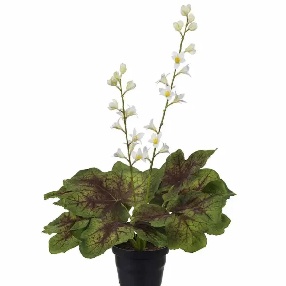 Alunajuuri tekokukka ruukussa 45 cm