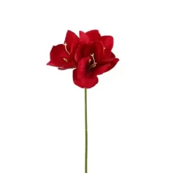 Amaryllis punainen 60 cm