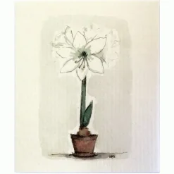 Amaryllis tiskirätti valkoinen