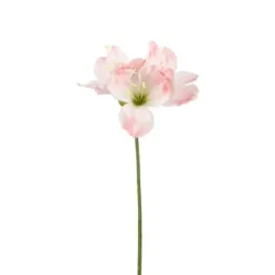 Amaryllis vaaleanpunainen 60 cm