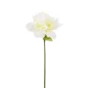 Amaryllis valkoinen 60 cm