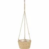 Amppelikori meriruohoa 23 cm