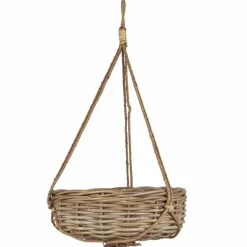 Amppelikori pajua 36 cm