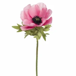 Anemonenoksa 43 cm – kaksi väriä