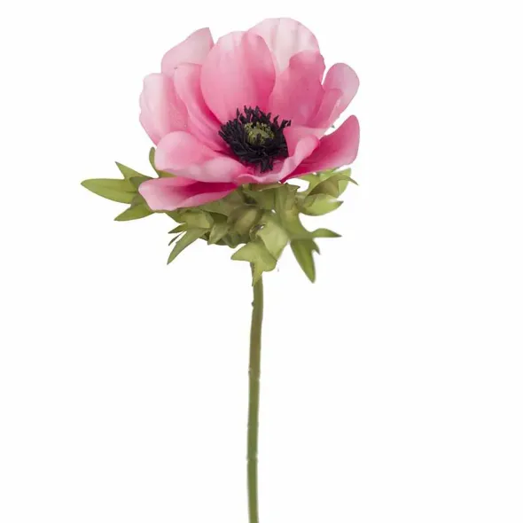 Anemonenoksa 43 cm – kaksi väriä