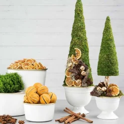 Appelsiinin kuivatut siivut 250g