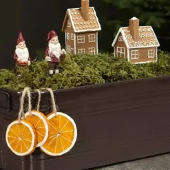 Appelsiiniviipalekoriste, eri kokoja