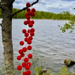 Cotton Ball valosarja punainen 35-palloa