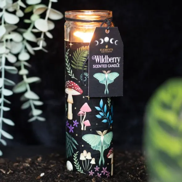 Dark Forest tuoksukynttilä lasiastiassa