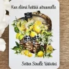 Elämä heittää sitruunalla Magneetti