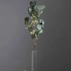Eucalyptus koristeoksa valoilla