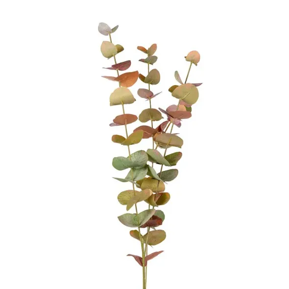 Eucalyptus-oksa 60 cm – useita värejä