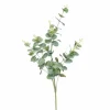 Eucalyptus-oksa 75 cm vihreä