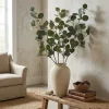 Eucalyptus-oksa marjoilla 100 cm