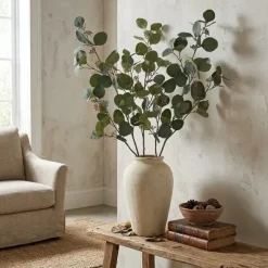 Eucalyptus-oksa marjoilla 100 cm