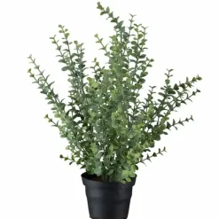 Eucalyptus tekokasvi 40 cm vihreä