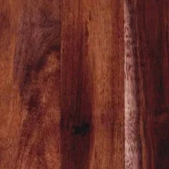 Gekkofix Acacia 45 cm