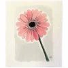 Gerbera tiskirätti