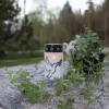 Hautakynttilä LED Kyyhkynen