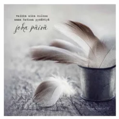 Hiirimatto Anna hetken pysähtyä
