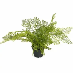 Hiussaniainen tekokasvi 30 cm