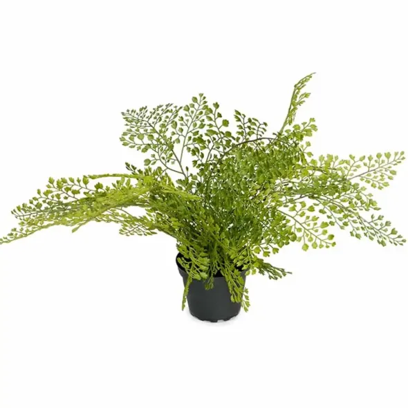 Hiussaniainen tekokasvi 30 cm