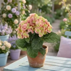 Hortensia tekokukka 30 cm – useita värejä