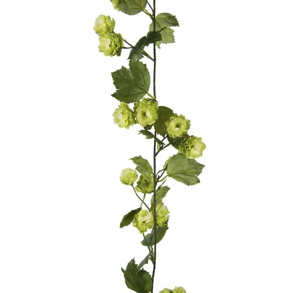 Humalaköynnös vihreä 150 cm