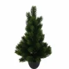 Joulukuusi ruukussa 50 cm
