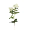 Jouluruusu luonnonvalkoinen 63 cm