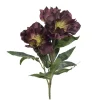 Jouluruusu tumma purppura 26 cm