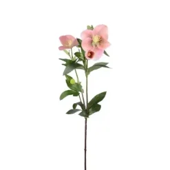 Jouluruusu vaaleanpunainen 63 cm
