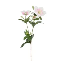 Jouluruusu valkoinen/vaaleanpunainen 63 cm
