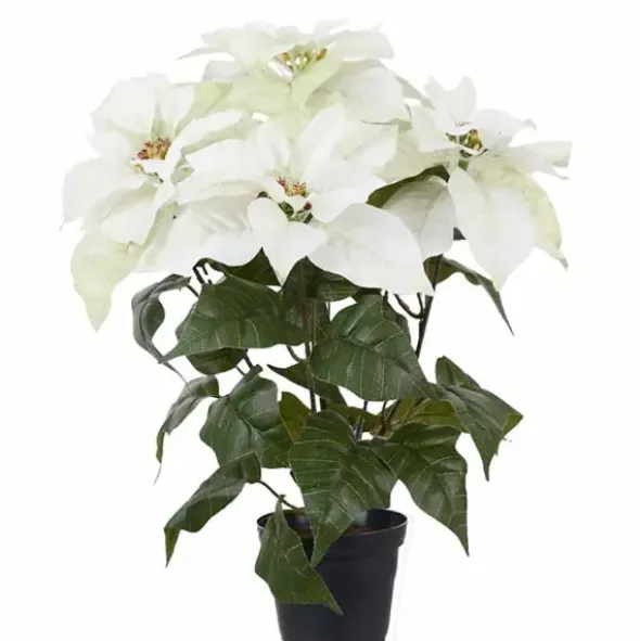 Joulutähti ruukussa 45 cm luonnonvalkoinen