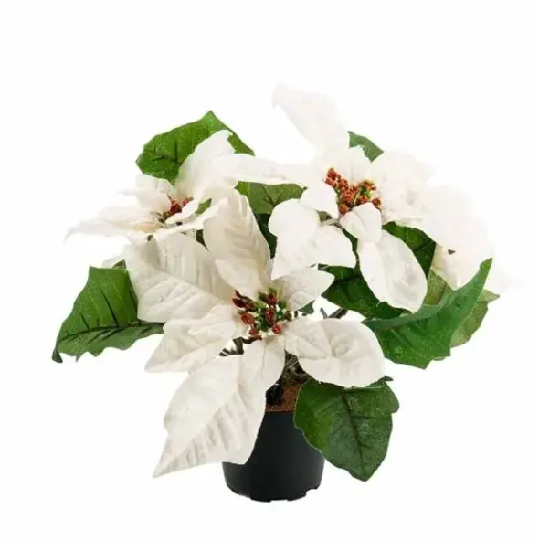 Joulutähti ruukussa 23 cm valkoinen