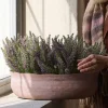 Kanerva tekokukka 28 cm – useita värejä