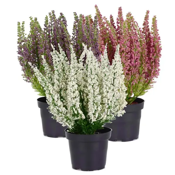 Kanerva tekokukka 28 cm – useita värejä