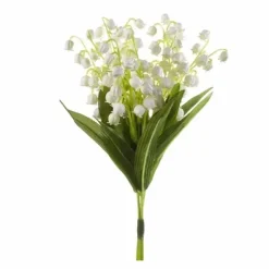 Kielokimppu 3 oksaa 25 cm