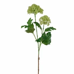 Koiranheisioksa 60 cm