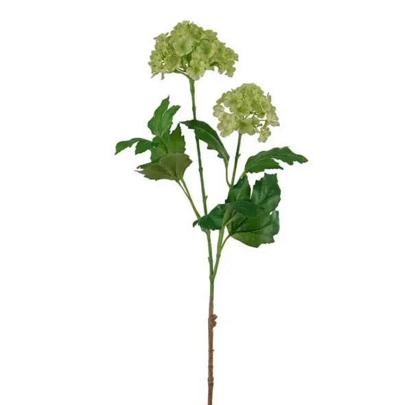 Koiranheisioksa 60 cm
