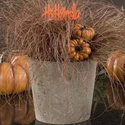Koristekurpitsatikku oranssi