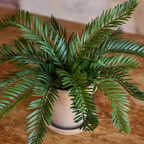Käpypalmu tekokasvi 25 cm