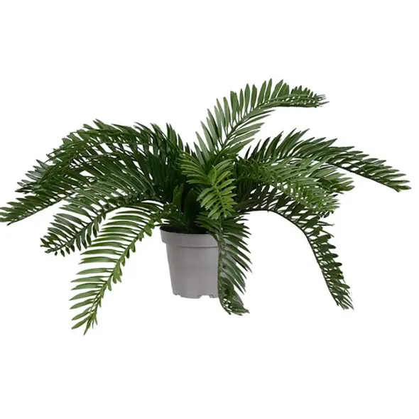 Käpypalmu tekokasvi 25 cm