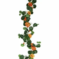 Krassiköynnös 120 cm