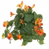 Krassi tekokukka ruukussa 25 cm