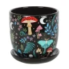Kukkaruukku Dark Forest 13 cm