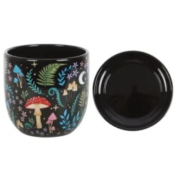 Kukkaruukku Dark Forest 13 cm