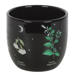 Kukkaruukku Poisonous Plants 12 cm
