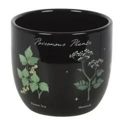 Kukkaruukku Poisonous Plants 12 cm
